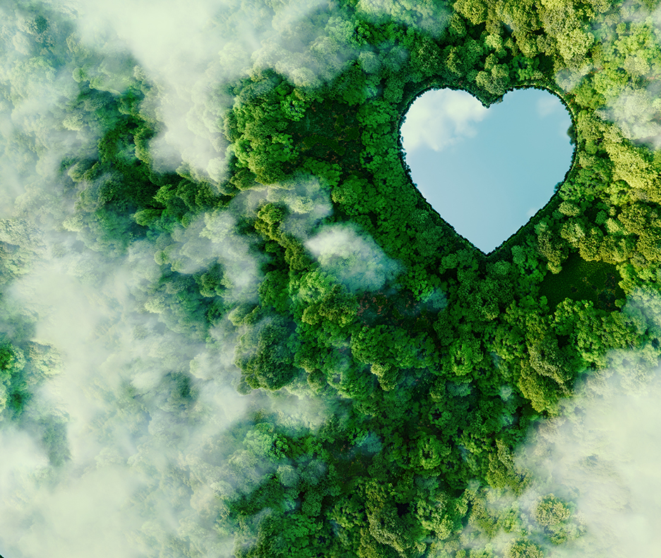 Eforblue Hakkında Merak Edilenler